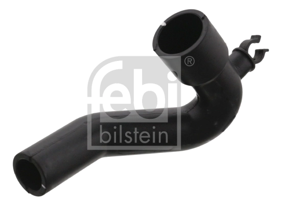 Hose, crankcase ventilation